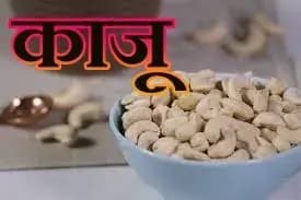 काजू को खाने से क्या मिलता है लाभ और हानि,सोचिये!
