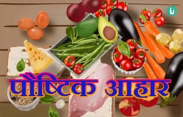  भोजन को सही ढंग से ग्र​हण करना होता है जरूरी,वरना आपकी सेहत होगी ,खराब  


