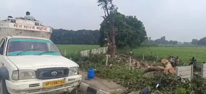 वन विभाग व उद्यान विभाग की मिली भगत से उजडी जा रही हरियाली
