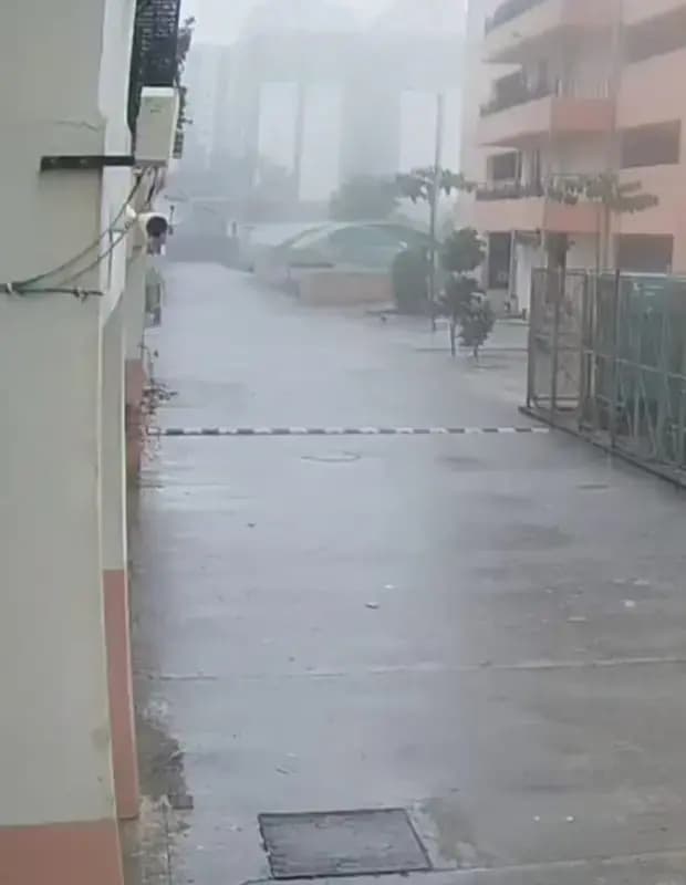 

लखनऊ के सुशांत गोल्फ सिटी थाना क्षेत्र में पैरामेडिकल की पढ़ाई कर रही 22 वर्षीय प्रज्ञा ने इमारत की छत से कूदकर दी जान