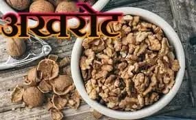 अखरोट का सेवन करने से क्या — क्या होते है फायदे,सुनकर बस हैरान ही हो जाएगे
