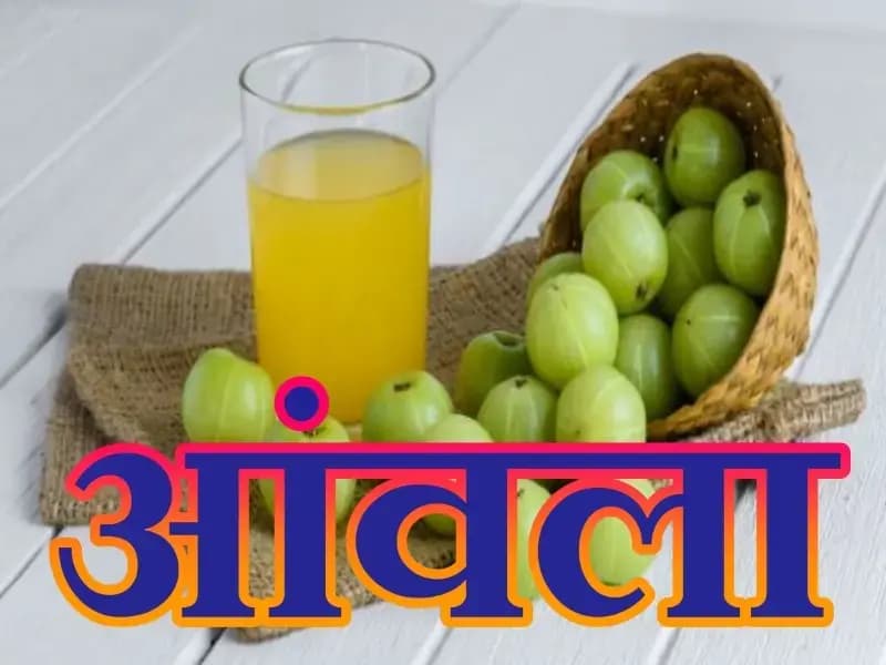  आंवले के बारें में क्या आपको नही मालूम है तो सावधान रहिए !