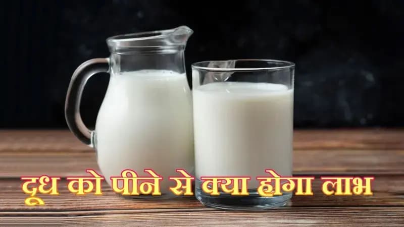  दूध को पीने से  आपकी  सेहत में क्या होगा लाभ और हानि,देखना जरूरी !