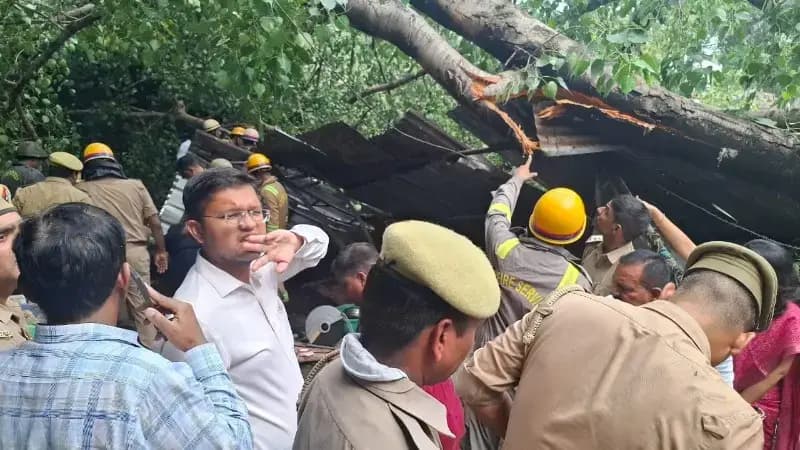 कैसरबाग मछली मंडी में पेड़ गिरा, कई मकान क्षतिग्रस्त, कई लोग दबे , एक की मौत
