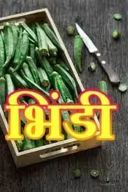   भिंडी को खाने के क्या आप भी है शौक़ीन,तो आपकी जरूरत की बात! 