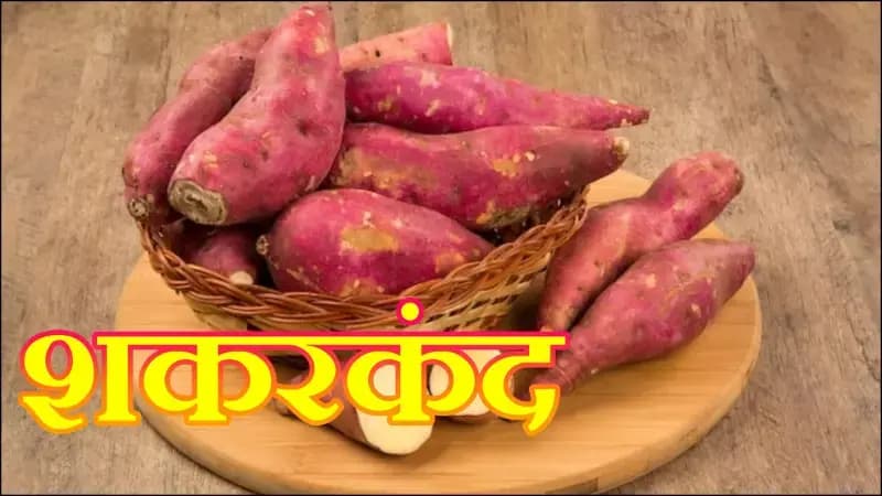 शकरकंद को खाने के क्या आप भी है शौक़ीन,तो कुछ बातो रखिए ध्यान !