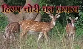 लखनऊ  के चिड़ियाघर में हिरण चोरी का प्रयास,एक आरोपी राजेश अरेस्ट, चार अज्ञात आरोपी फरार