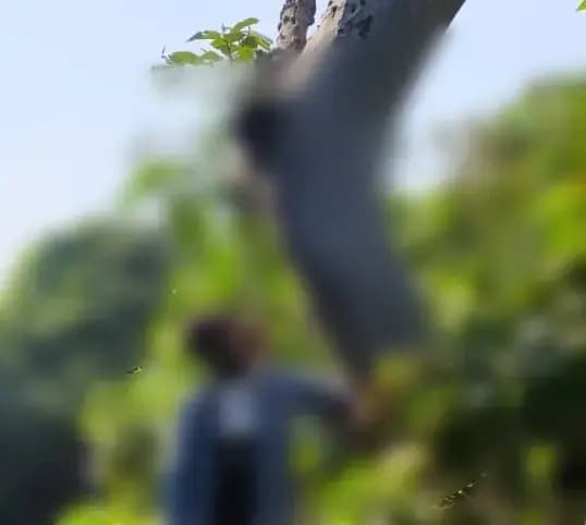 लखनऊ के आलमबाग क्षेत्र मे फांसी  लगाकर युवक ने की आत्माहत्या,पुलिस जांच में जुटी  

