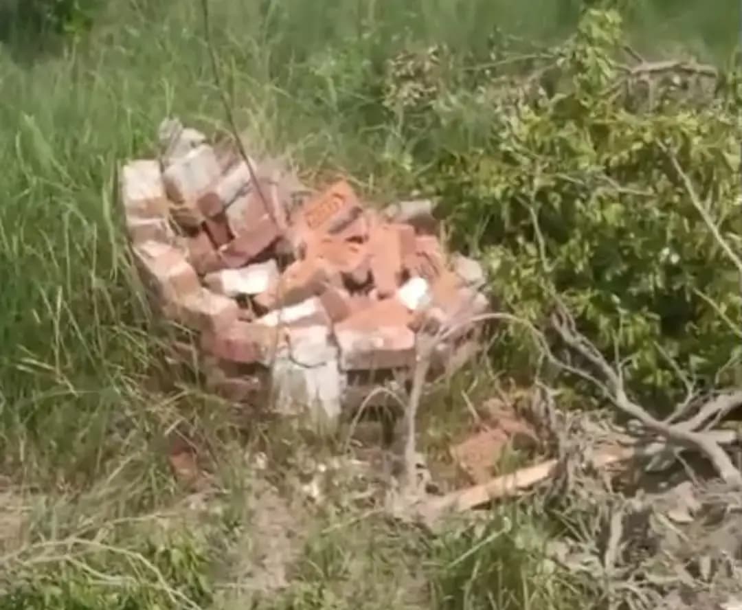 महिंगवा गांव के पास जेसीबी से उखाड़ दिए गए पेंड और शाखाएं,वन विभाग कार्यवाही की बजाय कर रहा टालमटोल