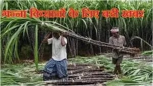 
45 लाख गन्ना किसानों के लिए बडी खबर,सरकार ने गन्ने का मूल्य 30 रुपये बढ़ाया — सीएम योगी 