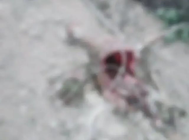 लखनऊ के रहमानखेड़ा इलाके में तेंदुए की दहशत, वन विभाग अलर्ट