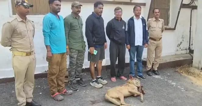 बहराइच में दो आदमखोर भेड़ियों का वन विभाग की टीम ने किया एनकाउंटर