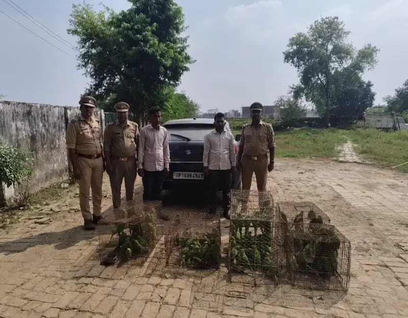 बीकेटी के इंदौर बाग मोड पर एक बलेनो कार में 650 तोता बरामद ,पुलिस जांच में जुटी