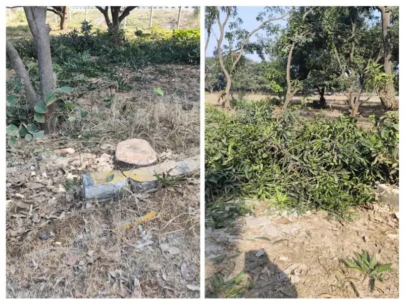 दुबग्गा क्षेत्र में हरियाली के दुश्मन बन बैठे प्रॉपर्टी डीलर,लोगो में भारी आक्रोश